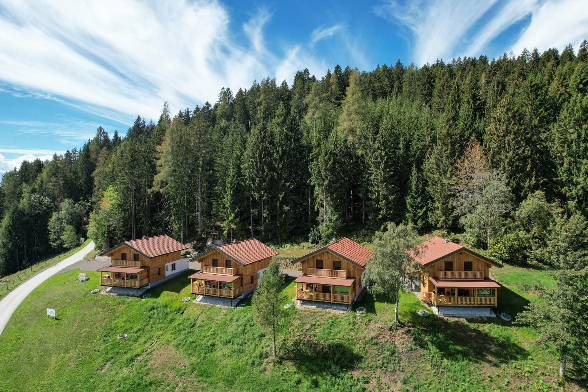 Hochleben-Chalets Am Erlebnisbauernhof Steinerhof Liebenfels Экстерьер фото